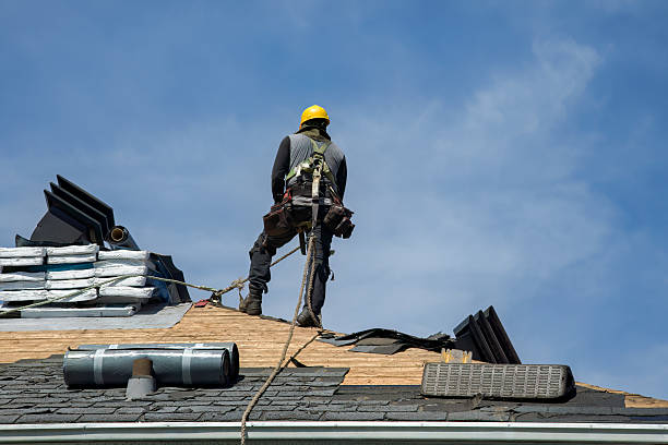 Professional Roof Installation technician working in Paisley, FL